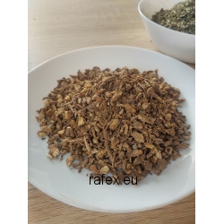 Dzięgiel Chiński Cięty 1kg